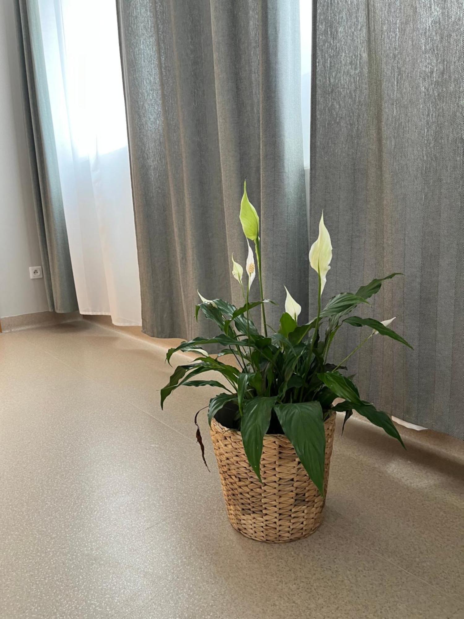 Osrodek Konferencyjno-Wypoczynkowy Hostel Chojna Εξωτερικό φωτογραφία
